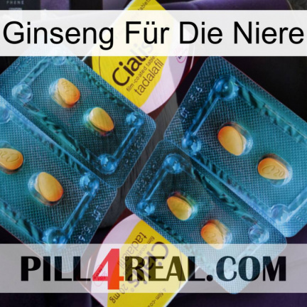 Ginseng Für Die Niere cialis5